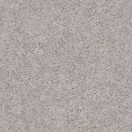 Shaw Floors Value Collections Valiant Net Silver Song