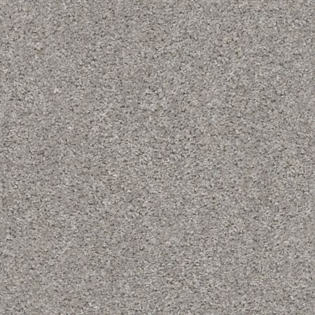 Shaw Floors Value Collections Valiant Net Raindance