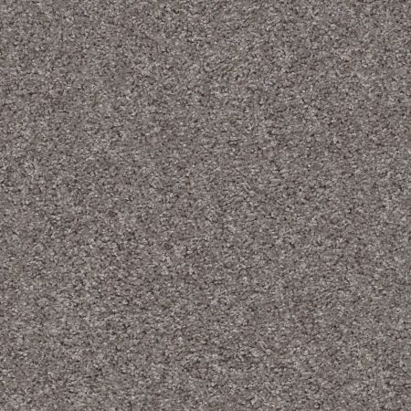 Shaw Floors Value Collections Valiant Net Himalayan Trek