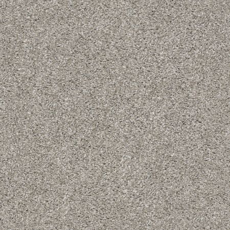 Shaw Floors Simply The Best Suave Net Trade Winds