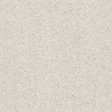 Shaw Floors Simply The Best Suave Net Canvas