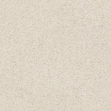 Shaw Floors Simply The Best Suave Net Blondie