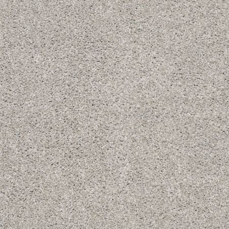 Shaw Floors Simply The Best Suave Net Birch