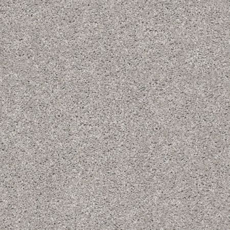 Shaw Floors Simply The Best Suave Net Stone