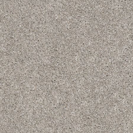 Shaw Floors Simply The Best Suave Net Mushroom