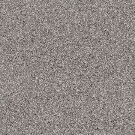 Shaw Floors Simply The Best Suave Net Tree Trunk