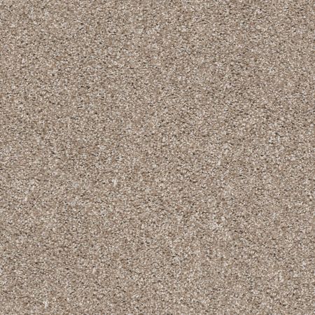 Shaw Floors Simply The Best Suave Net True Tan