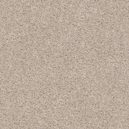 Shaw Floors Simply The Best Suave Net Twine