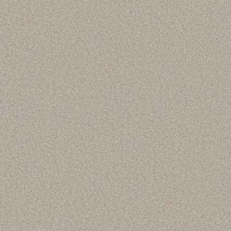 Shaw Floors Foundations Harmonious I Split Sediment