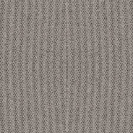 Shaw Floors Foundations Naturalistic Grey Fox