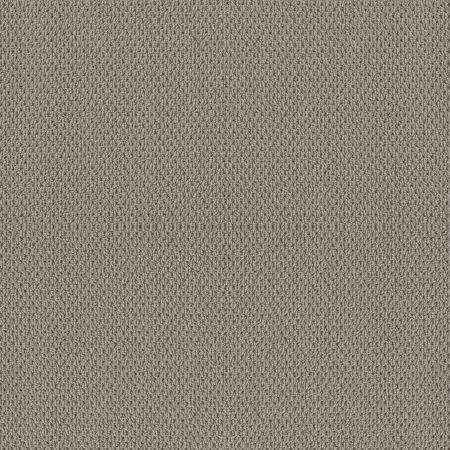 Shaw Floors Foundations Naturalistic River Run