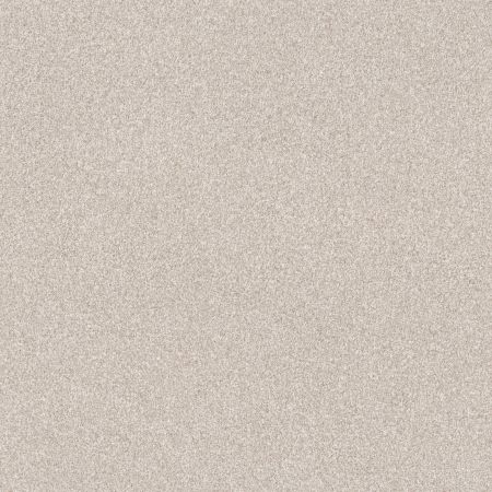 Shaw Floors Pet Perfect Influencer Gallery Opening