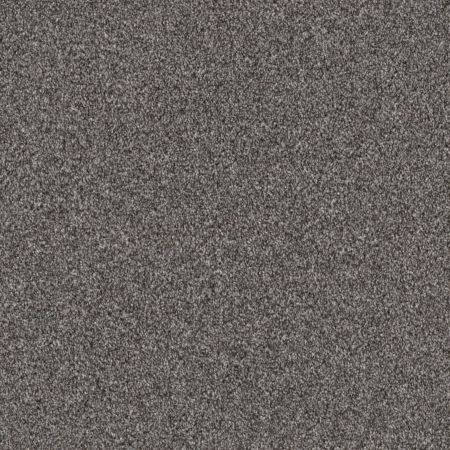 Shaw Floors Pet Perfect Influencer Sentimental