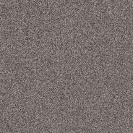 Shaw Floors Pet Perfect Influencer River Run