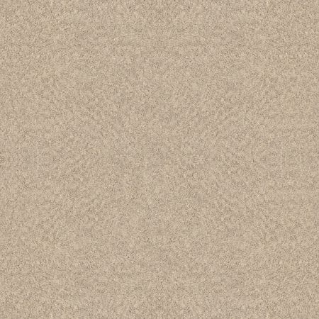 Shaw Floors Foundations Alluring Canvas Sun Kissed