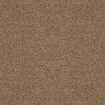 Shaw Floors Foundations Alluring Canvas Raw Wood