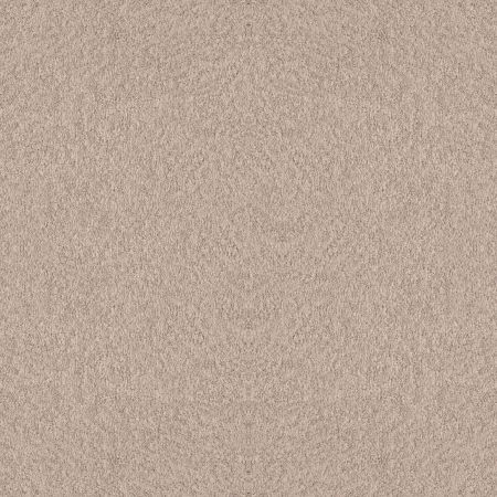 Shaw Floors Foundations Alluring Canvas Heirloom