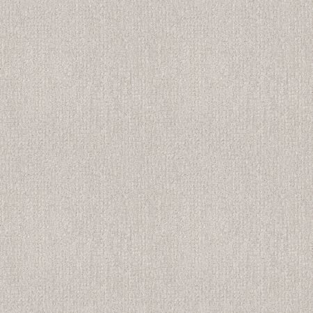 Shaw Floors Foundations Fine Tapestry Winters Dawn