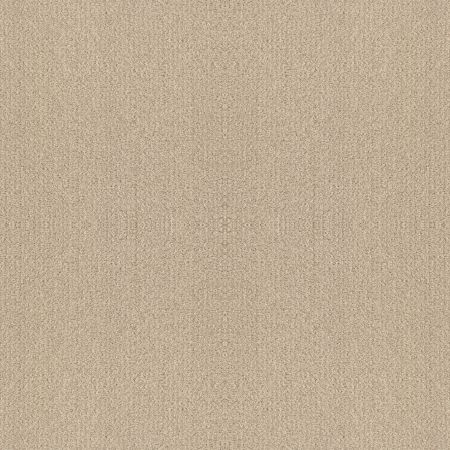 Shaw Floors Foundations Fine Tapestry Sun Kissed