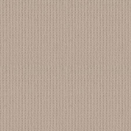 Shaw Floors Simply The Best Framed View Natural Wood