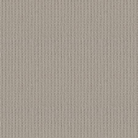 Shaw Floors Simply The Best Framed View Sandstone