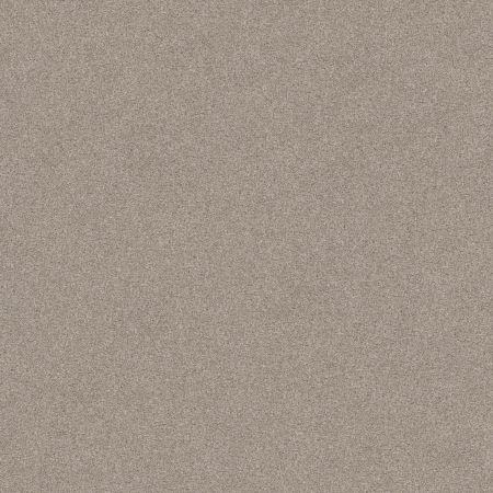 Shaw Floors Foundations Harmonious III Fossil Path