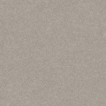 Shaw Floors Foundations Harmonious III Baltic Stone