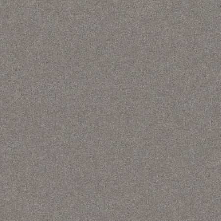 Shaw Floors Foundations Harmonious III Grey Fox