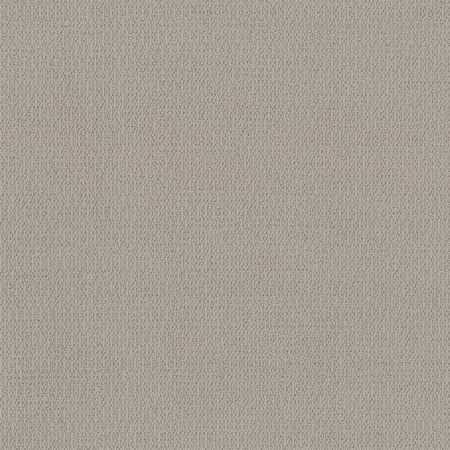 Shaw Floors Simply The Best Loop De Loop Sandstone