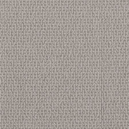 Shaw Floors Pet Perfect Plus Crafted Embrace Split Sediment