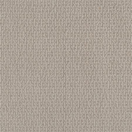 Shaw Floors Pet Perfect Plus Crafted Embrace Sandstone