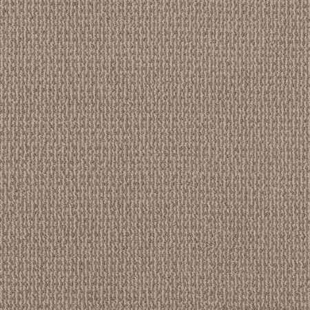 Shaw Floors Pet Perfect Plus Crafted Embrace Dark Maple