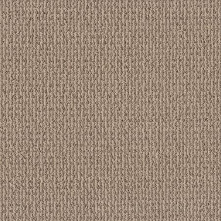 Shaw Floors Pet Perfect Plus Crafted Embrace Beige Bisque