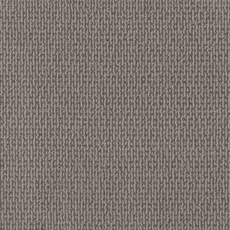 Shaw Floors Pet Perfect Plus Crafted Embrace Stormy Breeze