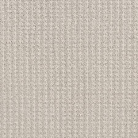 Shaw Floors Pet Perfect Plus Chic Elevation Champagne Toast