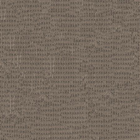 Shaw Floors Pet Perfect Plus Chic Elevation Raw Wood