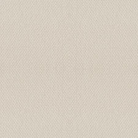 Shaw Floors Simply The Best Channeling Canvas