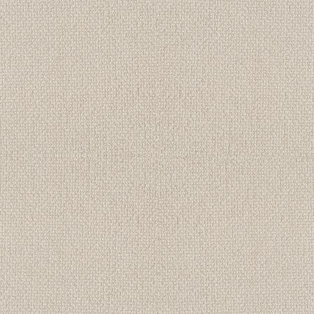 Shaw Floors Simply The Best Embellished Luxury Cream