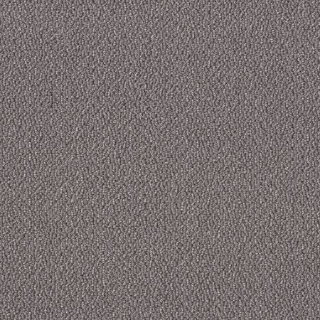 Shaw Floors Simply The Best Embellished Dolphin