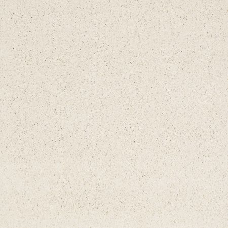 Shaw Floors Value Collections Cashmere Classic 4 Net Icelandic