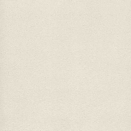 Shaw Floors Value Collections Cashmere Classic 4 Net Crisp