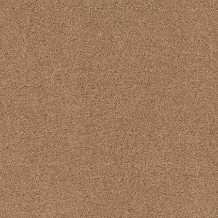 Shaw Floors Value Collections Cashmere Classic 4 Net Brass Lantern