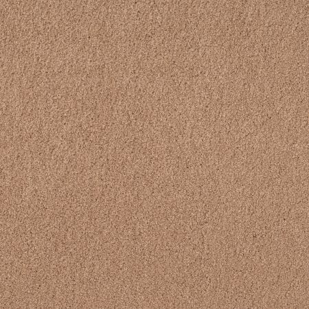 Shaw Floors Value Collections Cashmere Classic 4 Net Maplewood North