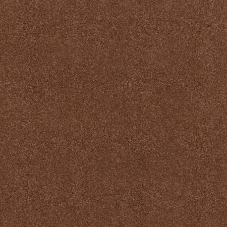 Shaw Floors Value Collections Cashmere Classic 4 Net Rich Henna