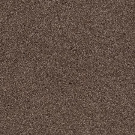 Shaw Floors Value Collections Cashmere Classic 4 Net Spring - Wood