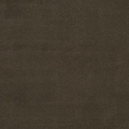 Shaw Floors Value Collections Cashmere Classic 4 Net Chestnut