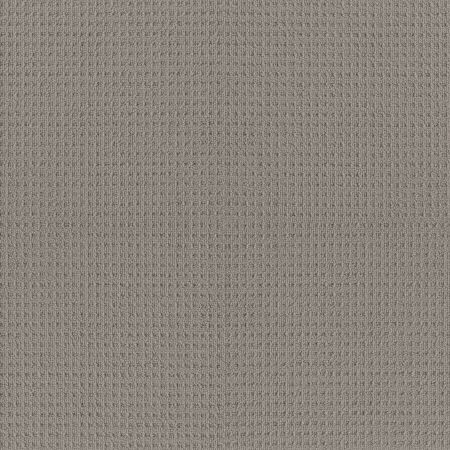 Shaw Floors Simply The Best Framed View Net Industrial