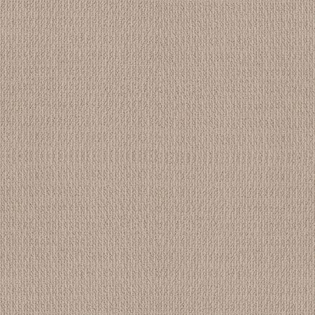 Shaw Floors Simply The Best Iconic Way Net Malibu Dune