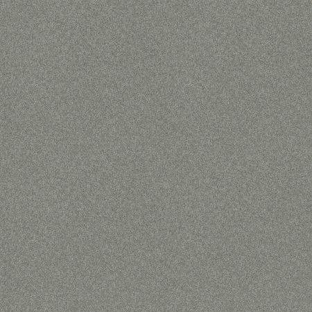 Shaw Floors Foundations Harmonious II Net Water's Edge