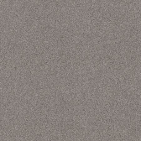 Shaw Floors Foundations Harmonious II Net Grey Fox